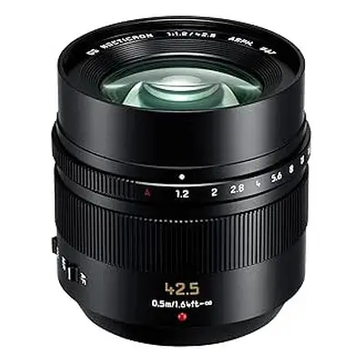 Panasonic Panasonic 42.5mm F1.2 ASPH. POWER O.I.S. (HNS043E)