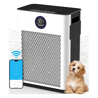 (AP304) Home Air Purifier, FRESHDEW Air Purifier for bedrooms up to sqm with Smart WiFi, Air Qua