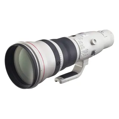 Canon RF 800mm f/5.6 IS USM Lens