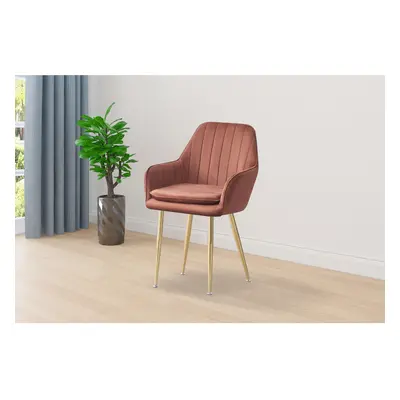 (Brown) Luxury French velvet Design dining chair T05