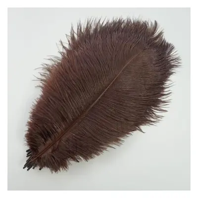 (dark brown, 55-60cm 22-24inch) 10pcs /lot New Colored Ostrich Feathers For Crafts White Black F