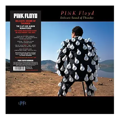 Pink Floyd - Delicate Sound Of Thunder [VINYL]