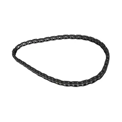 Buffalo Chain 06B-1-70L Fits CP821