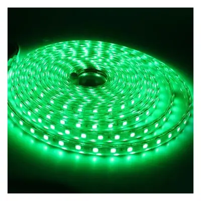 (green, 20M) Waterproof Smd Ac220v Led Strip Flexible Light 60leds/m Led Tape Led Lights Lightin