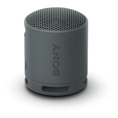 Sony SRS-XB100 Wireless Bluetooth Portable Lightweight Super-Compact T