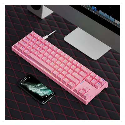 (Pink, Blue Switch) Mechanical Gaming Keyboard Keys Blue/Red Switch Hot Swappable RGB Backlit De