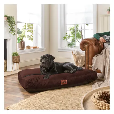 (Chocolate Brown, Extra Large) Paws for Slumber Padded Pet Bed UK Made