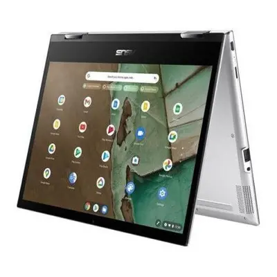 ASUS Flip CM3200FM 12" in Chromebook - MediaTek Processor GB