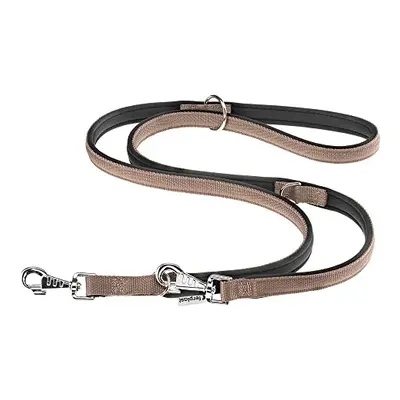 Dog Training Collars