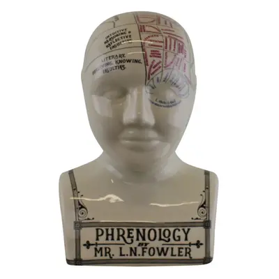 Large Ceramic Crackle Phrenology Head