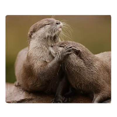 (200CM X 150CM) Soft Fleece Blanket Oriental ShortClawed Otters Throw Suitable for Sofa or Bed