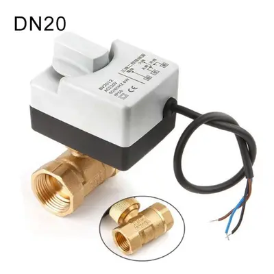 (DN20) Ac220v Way Wires Motorized Ball Valve Electric Actuator With Manual Switch