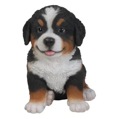 Hi-Line Gift Ltd Bernese Mountain Dog Puppy Statue