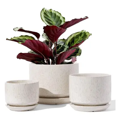 (Reactive Glaze Beige) Ceramic Plant Pots, 11+13.5+17 cm, Set of 3, Planters with Drainage Hole 