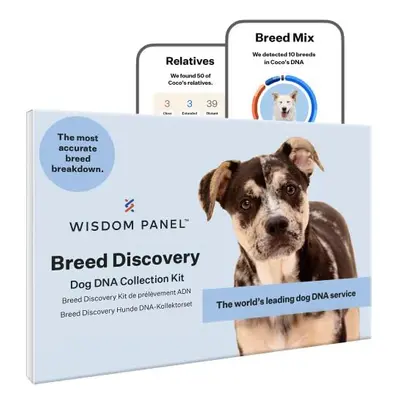 Wisdom Panel Breed Discovery - Dog DNA Collection Kit 2.0, white