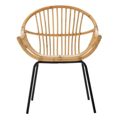 Interiors by Premier Natural Rattan Grey Metal Chair, Rustless Rattan Chair, Easy Cleaning Ratta