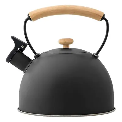 3 Liter Tea Kettle Stovetop - Loud Whistle Tea Pots for Stove Top Loud Whistling Teapot Coffee K