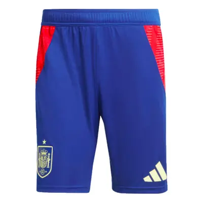 (XL) Spain Training Shorts (Blue)