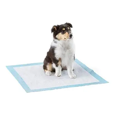 Amazon Basics Heavy Duty Dog and Puppy Training Pads, Leakproof with Quick-Dry Surface, Regular,