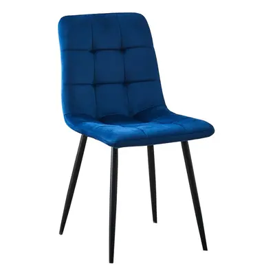 (Navy ) MOF Florence Velvet Dining Chairs Sturdy Metal Legs