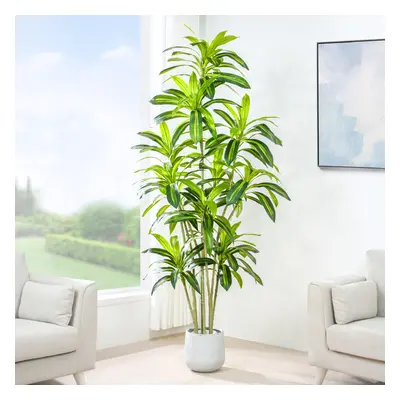 (200CM) Artificial Agave Tree with Plastic Planter & Moss