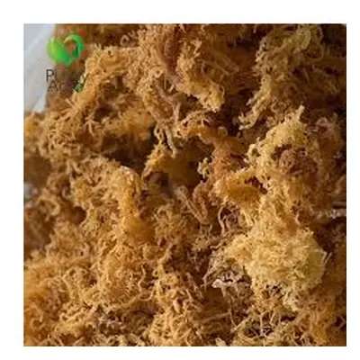 (1 kg) Purelyagro Pure Irish Sea Moss Raw Wild Crafted