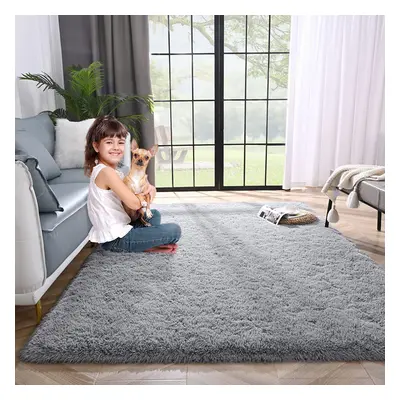 (160 cm x cm (5ft in x 7ft in)-Bedroom Carpets, Grey) Anti-Slip Super Soft Mat Living Room Bedro