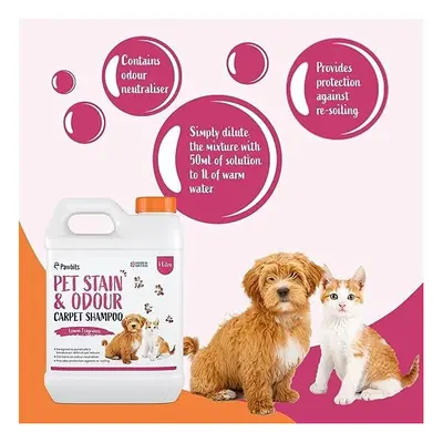 Pawbits Pet Stain Odour Carpet Shampoo 1L Super Concentrated Lemon Scented Carpet Upholstery Cle