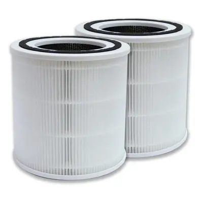 Replacement filter compatible