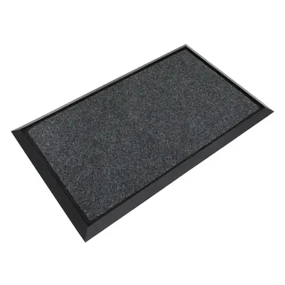 750mm x 450mm Rubber Disinfection Mat - Removable Carpet - Slip Resistant