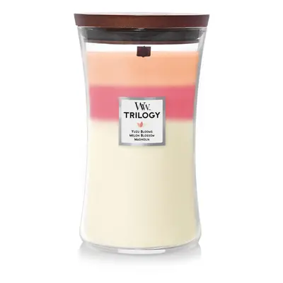 WoodWick Large Hourglass Candle, Blooming Orchard - Premium Soy Blend Wax, Pluswick Innovation W