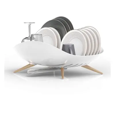 carrotez Dish Drying Rack, Dish Rack, Dish Drainer, Dish Drying Rack with Swivel Spout, Kitchen 