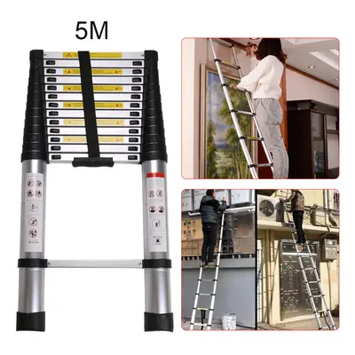 5m Telescopic Ladder