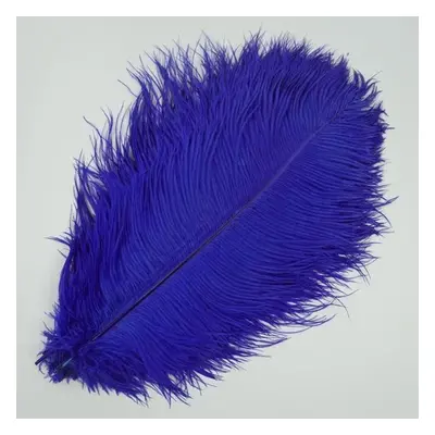 (royal blue, 55-60cm 22-24inch) 10pcs /lot New Colored Ostrich Feathers For Crafts White Black F