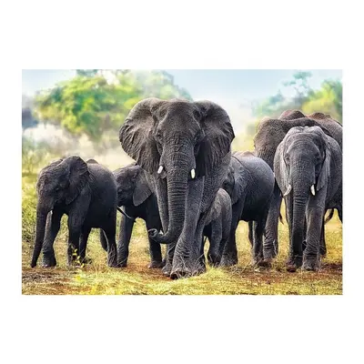 Trefl African Elephants Puzzle Adults - Pieces