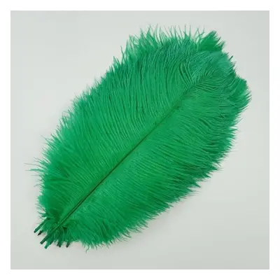 (grass green, 45-50cm 18-20inch) 10pcs /lot New Colored Ostrich Feathers For Crafts White Black 