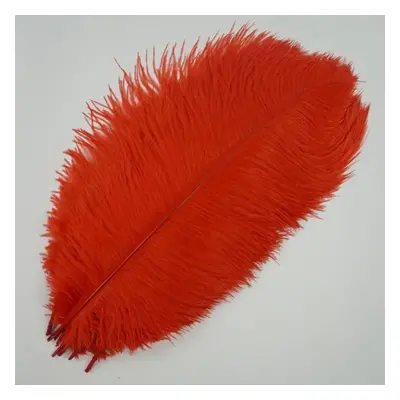 (red, 55-60cm 22-24inch) 10pcs /lot New Colored Ostrich Feathers For Crafts White Black Feather 