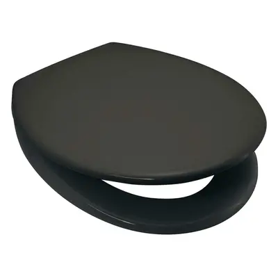 Anthracite / Dark Slate Grey Soft Close Toilet Seat Quick Release