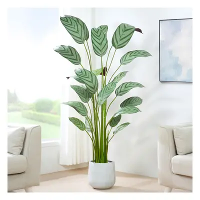 (180CM) Artificial Bird of Paradise Tree with Planter&Moss