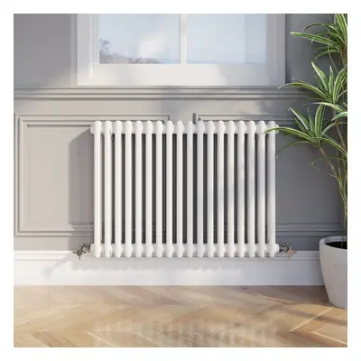 Traditional Colosseum Horizontal Double Bar Column Radiator x 830mm White