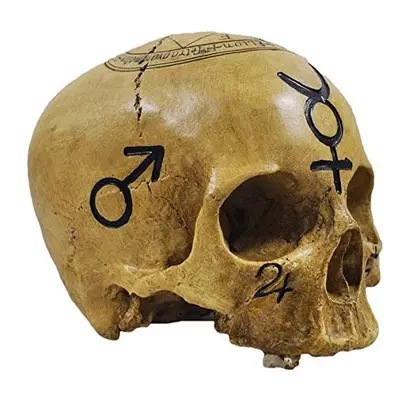 Witchcraft Skull Ornament. Spooky Magical Halloween Decoration. Gothic Pagan Celtic.