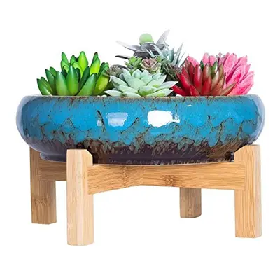 Succulent Plant Pot - Large Bonsai Pot with Stand Shallow Cactus Plant Pot with Mess Drainage Sc