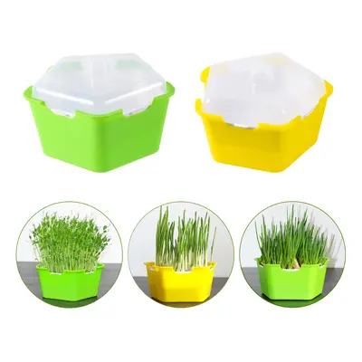 Pentagonal Plastic Sprout Planting Pot Box Bean Pea Sprouter Seedling Tray Wheat Grass Cat Gras