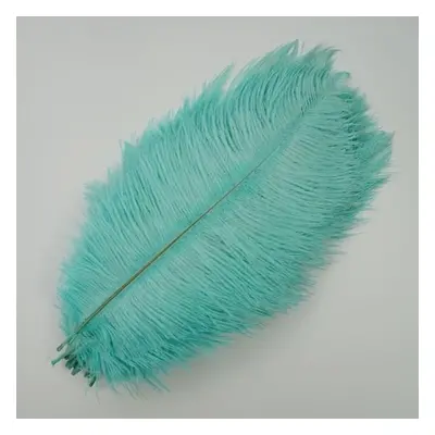 (mint green, 45-50cm 18-20inch) 10pcs /lot New Colored Ostrich Feathers For Crafts White Black F