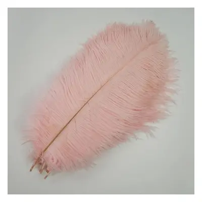 (light pink, 55-60cm 22-24inch) 10pcs /lot New Colored Ostrich Feathers For Crafts White Black F