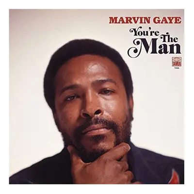 Marvin Gaye - Youre The Man