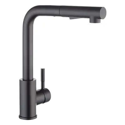 Kitchen Faucet With Black Spray, Kitchen Mixer With Pull-Out Spray, Rotating Sink Mixer, Jet Sin