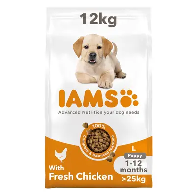 IAMS Complete Dry Dog Food for Puppy Large Breeds with Chicken kg