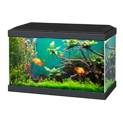 (Black, 20) Ciano Aqua and Classic Aquarium White/Black with Filter Beginner Fish Tank