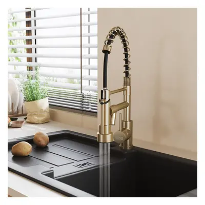 (Golden) Stainless Steel Kitchen Faucet with Pull Down Spring Spout and Pot Filler